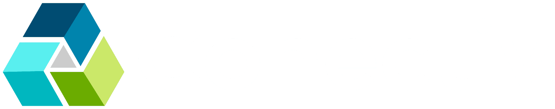 Conectiv AI Software Development