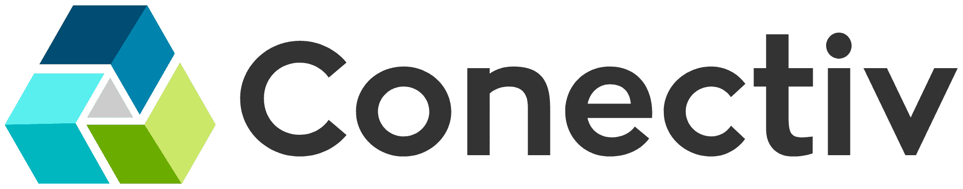 Conectiv AI Software Development